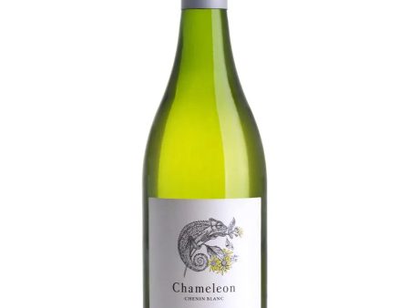 Jordan Chameleon Chenin Blanc, 75 cl Fashion