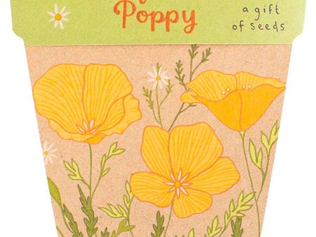 Sow  n Sow Gift of Seeds California Poppy on Sale