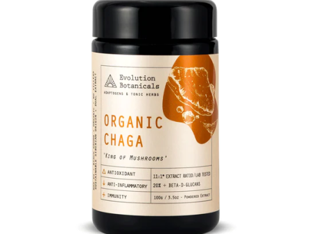 Evolution Botanicals Chaga Extract - Organic 11:1 King Of Mushrooms (Siberian Origin) 100g Online Sale