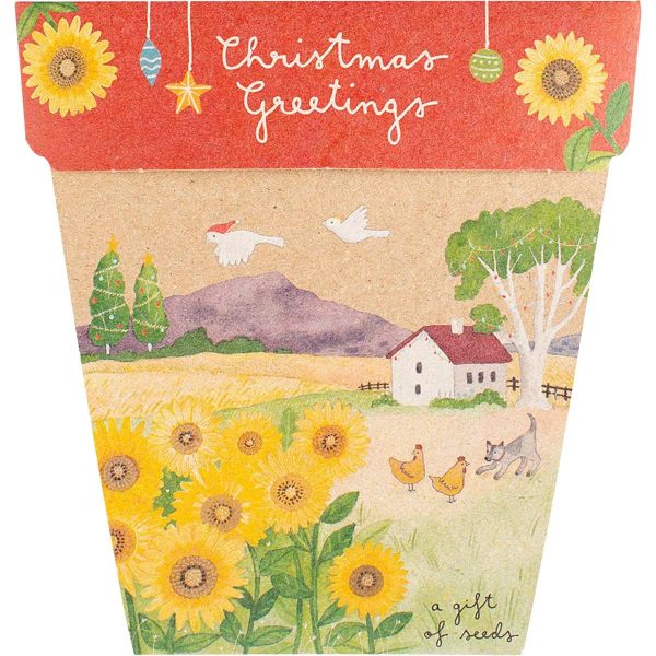 Sow  n Sow Gift of Seeds Christmas Sunflowers Online Hot Sale