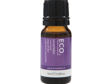 Eco Modern Essentials Essential Oil Lavender 10ml Sale