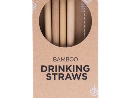 Ever Eco Bamboo Straws - 4 Pack + Brush Supply