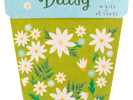 Sow  n Sow Gift of Seeds Daisy Sale