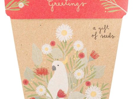 Sow  n Sow Gift of Seeds Christmas Greetings Supply