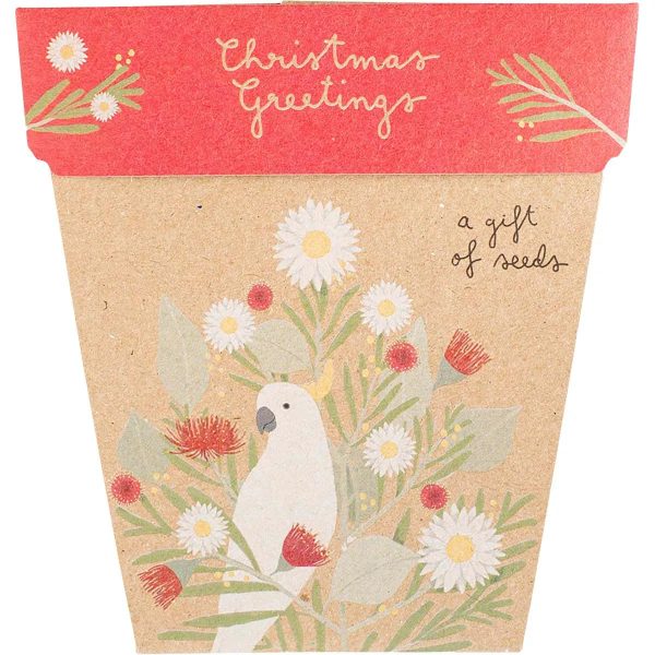 Sow  n Sow Gift of Seeds Christmas Greetings Supply