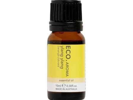 Eco Modern Essentials Essential Oil Ylang Ylang 10ml Online now