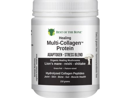 Best of the Bone Healing Multi-Collagen Protein Powder Adaptogen-Stress Blend (Organic Healing Mushrooms: Lion s Mane Reishi Shiitake) Supply