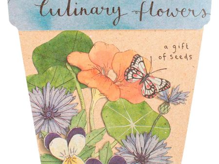 Sow  n Sow Gift of Seeds Culinary Flowers Sale