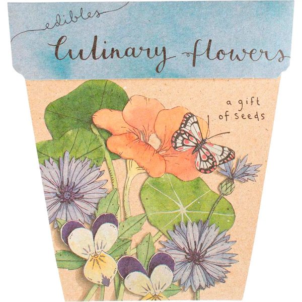 Sow  n Sow Gift of Seeds Culinary Flowers Sale