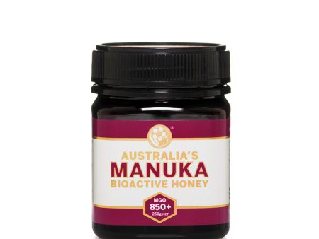 Australia s Manuka Honey Active Jellybush NPA 15+ (MGO510+) 250g Discount