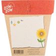 Sow  n Sow Gift of Seeds Christmas Sunflowers Online Hot Sale