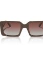 Sunset Sunglasses Hot on Sale