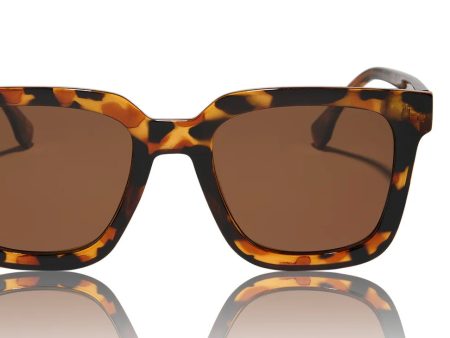 Malibu Sunglasses Online