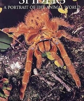 Paul Sterry: Spiders [2006] hardback Sale