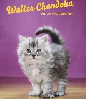 Walter Chandoka: Walter Chandoha: The Cat Photographer [2018] hardback For Sale