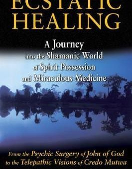 Margaret De Wys: Ecstatic Healing [2013] paperback Cheap